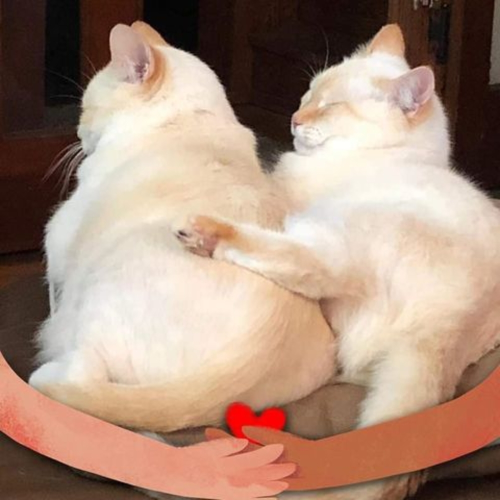 Meet your Posher, Linda